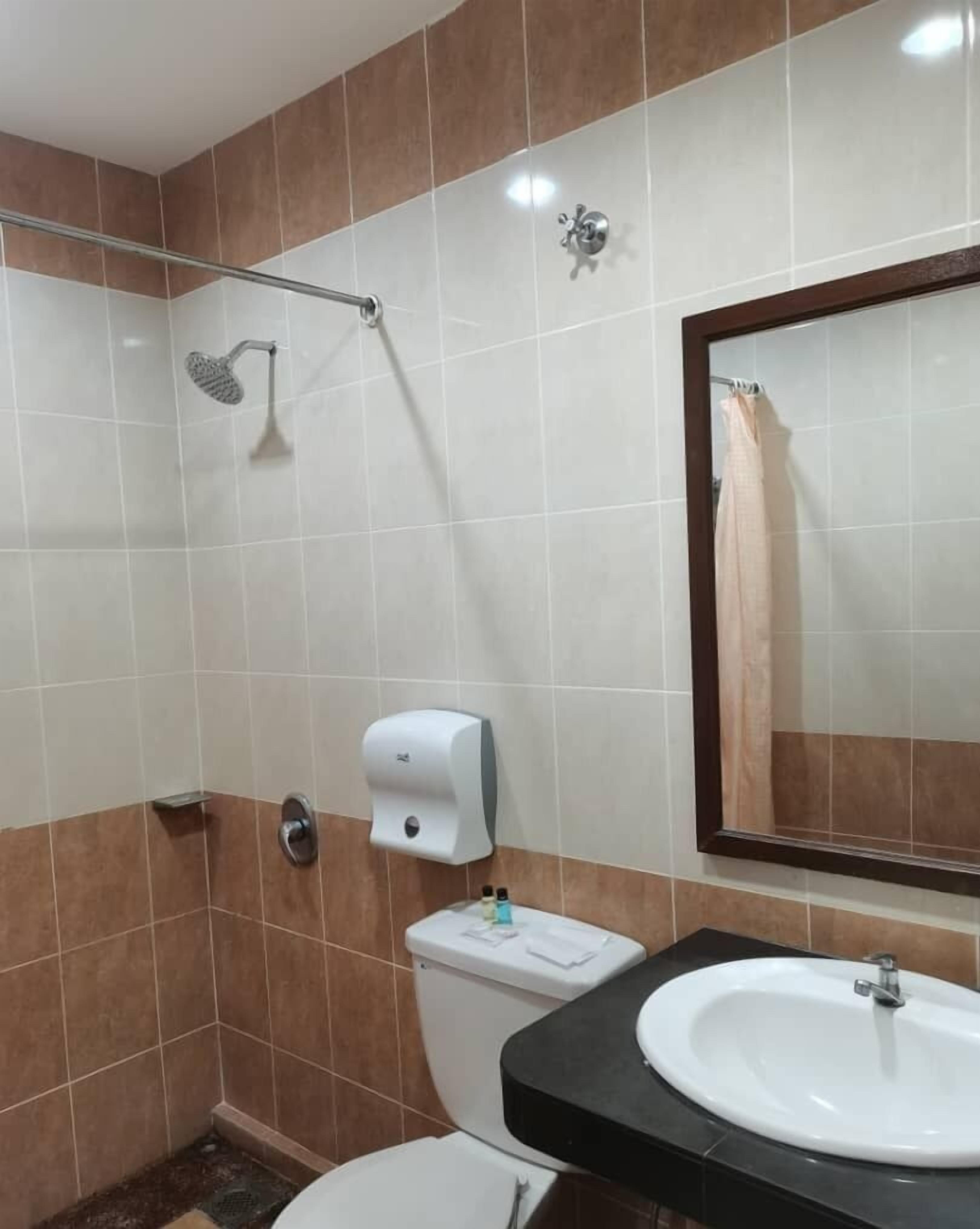 Un baño con ducha, inodoro, lavabo y espejo.