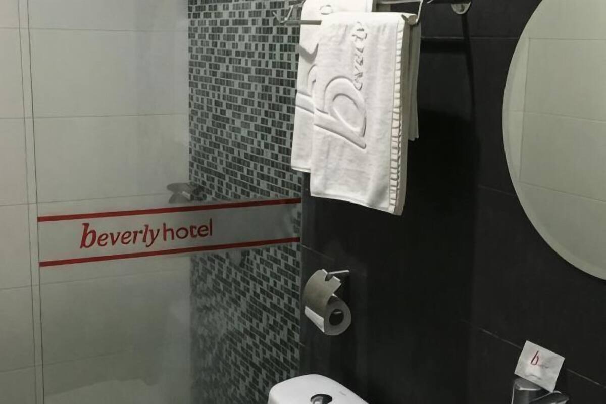 Ducha, cabezal de ducha tipo lluvia, secador de pelo, bidet