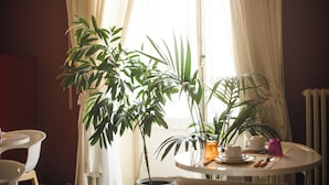 Ein Zimmer mit rundem Tisch, einem Sessel, einer Topfpflanze und einem Fenster mit Vorhängen.