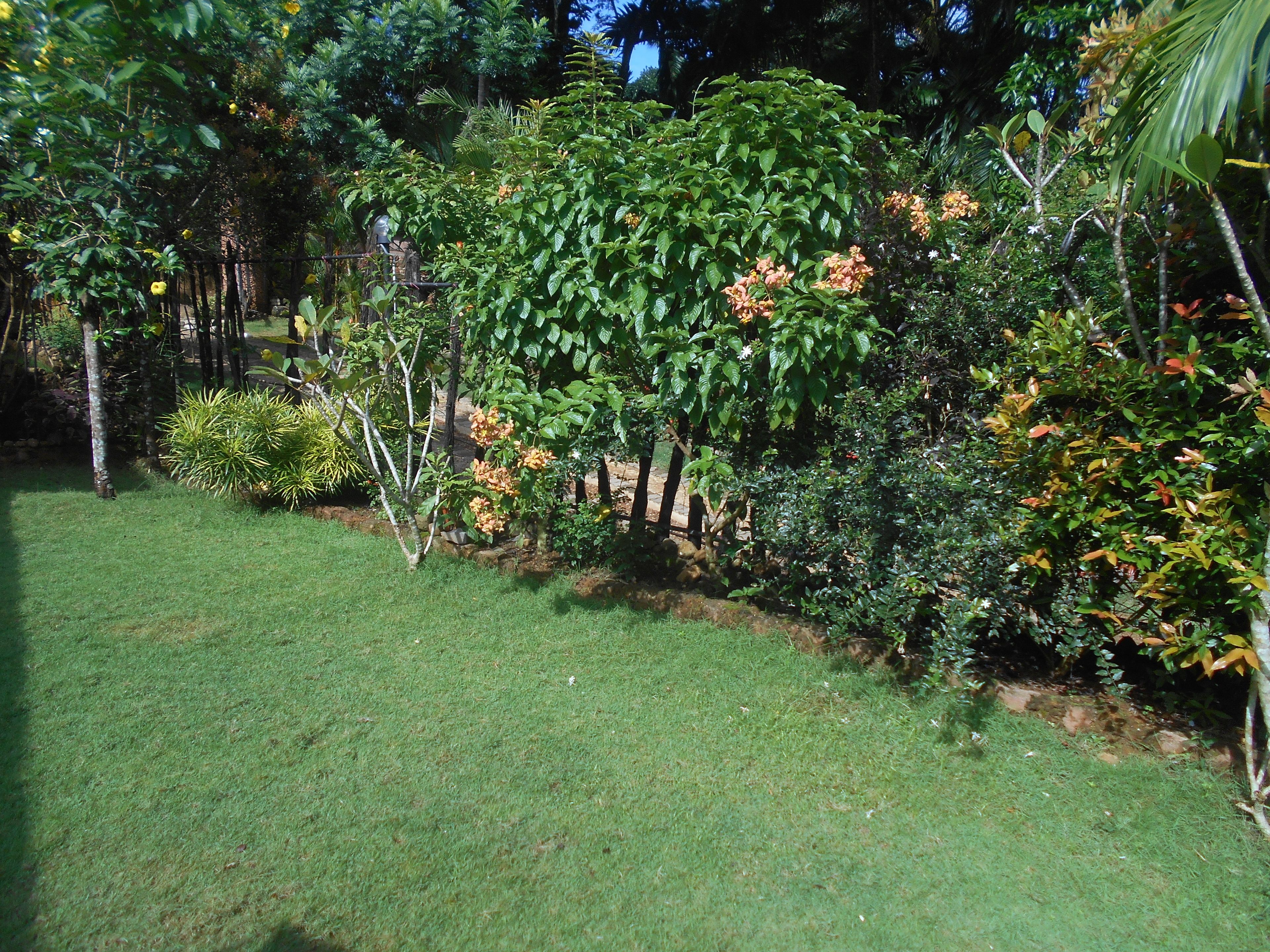 Ein gepflegter Garten mit vielfältigen Pflanzen und Bäumen, einer Rasenfläche und einer Steinsäule.