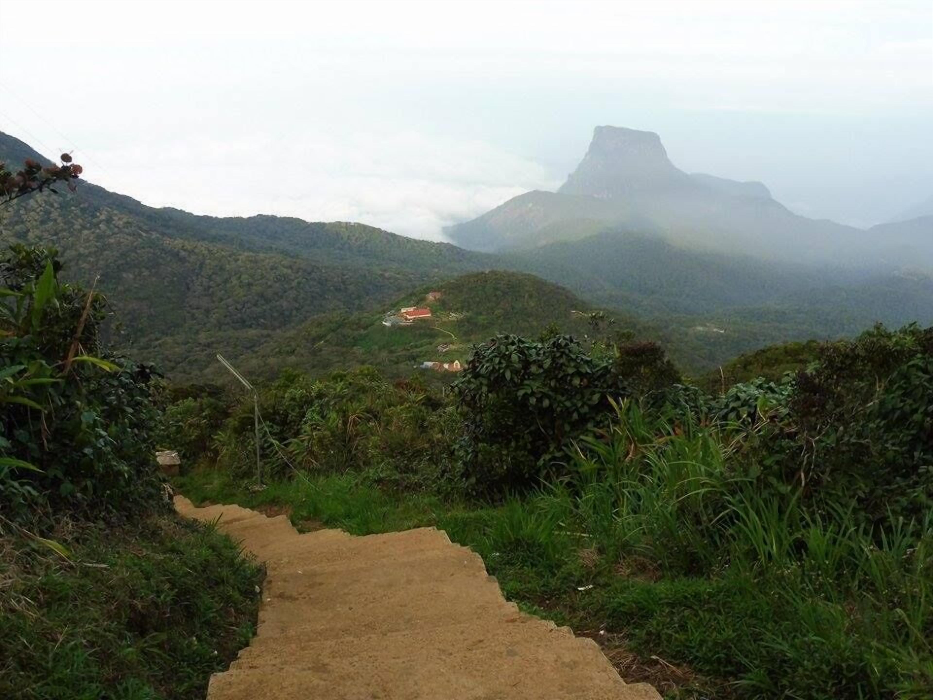 A dirt path leading through a mountainous area with dense vegetation and a distant view of a mountain peak.