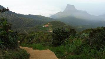 A dirt path leading through a mountainous area with dense vegetation and a distant view of a mountain peak.
