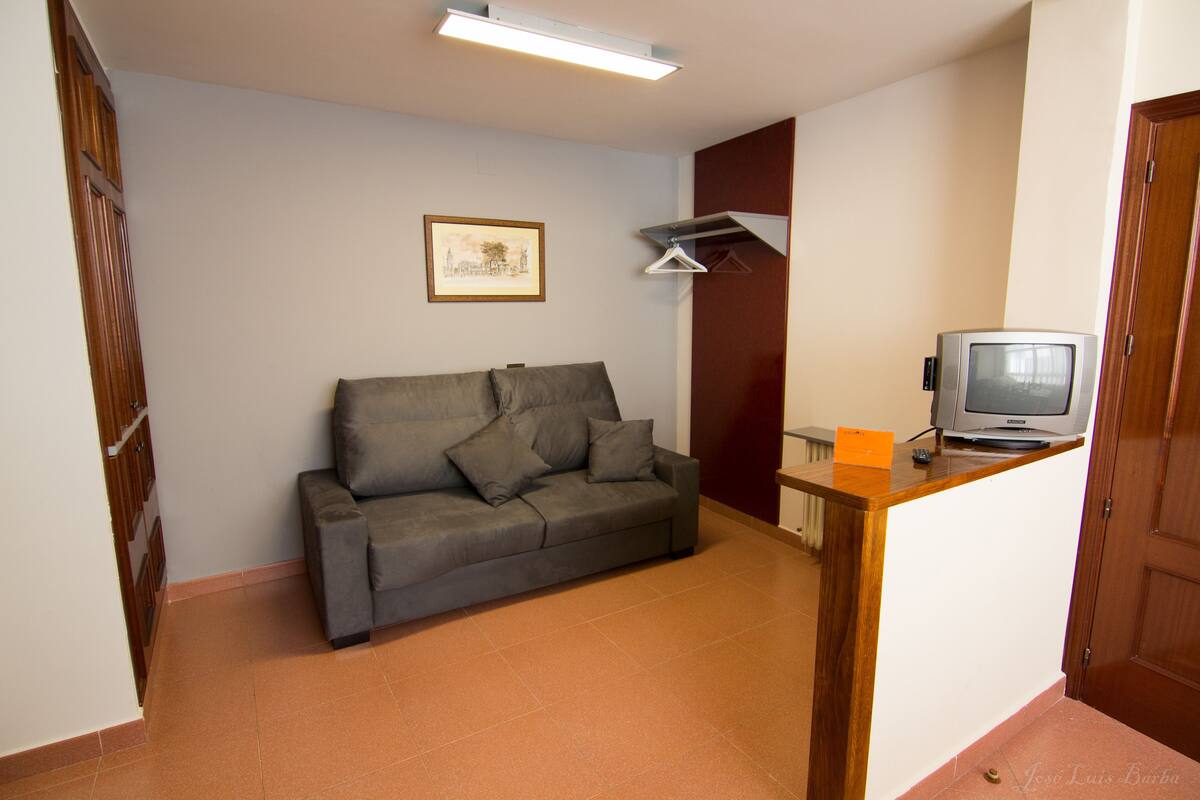Un salon avec un canapé, un téléviseur et un radiateur.