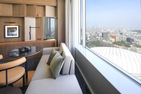 Tokyo Dome Hotel - view 3