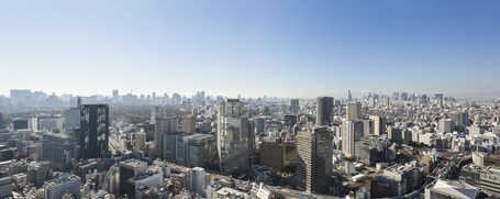 Tokyo Dome Hotel - Image 15
