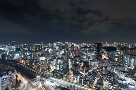 Tokyo Dome Hotel - Image 61