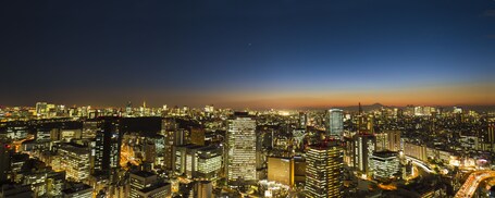 Tokyo Dome Hotel - Image 60