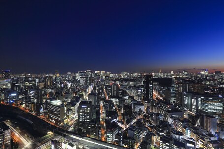 Tokyo Dome Hotel - Image 35