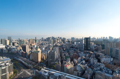 Tokyo Dome Hotel - Image 23