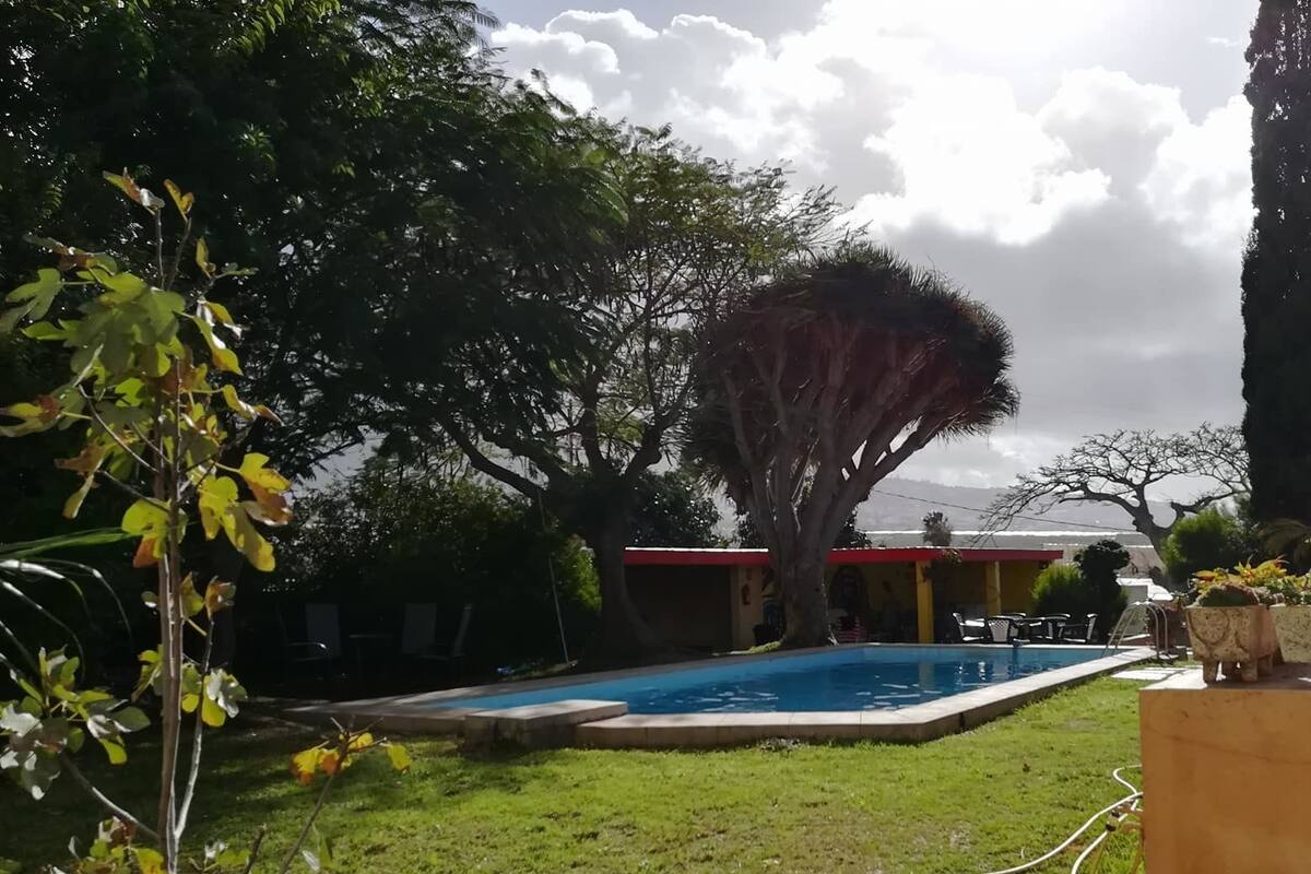 Tienda básica, 1 cama doble, accesible para personas con discapacidad, vistas a la piscina | Camas supletorias, wifi gratis, ropa de cama