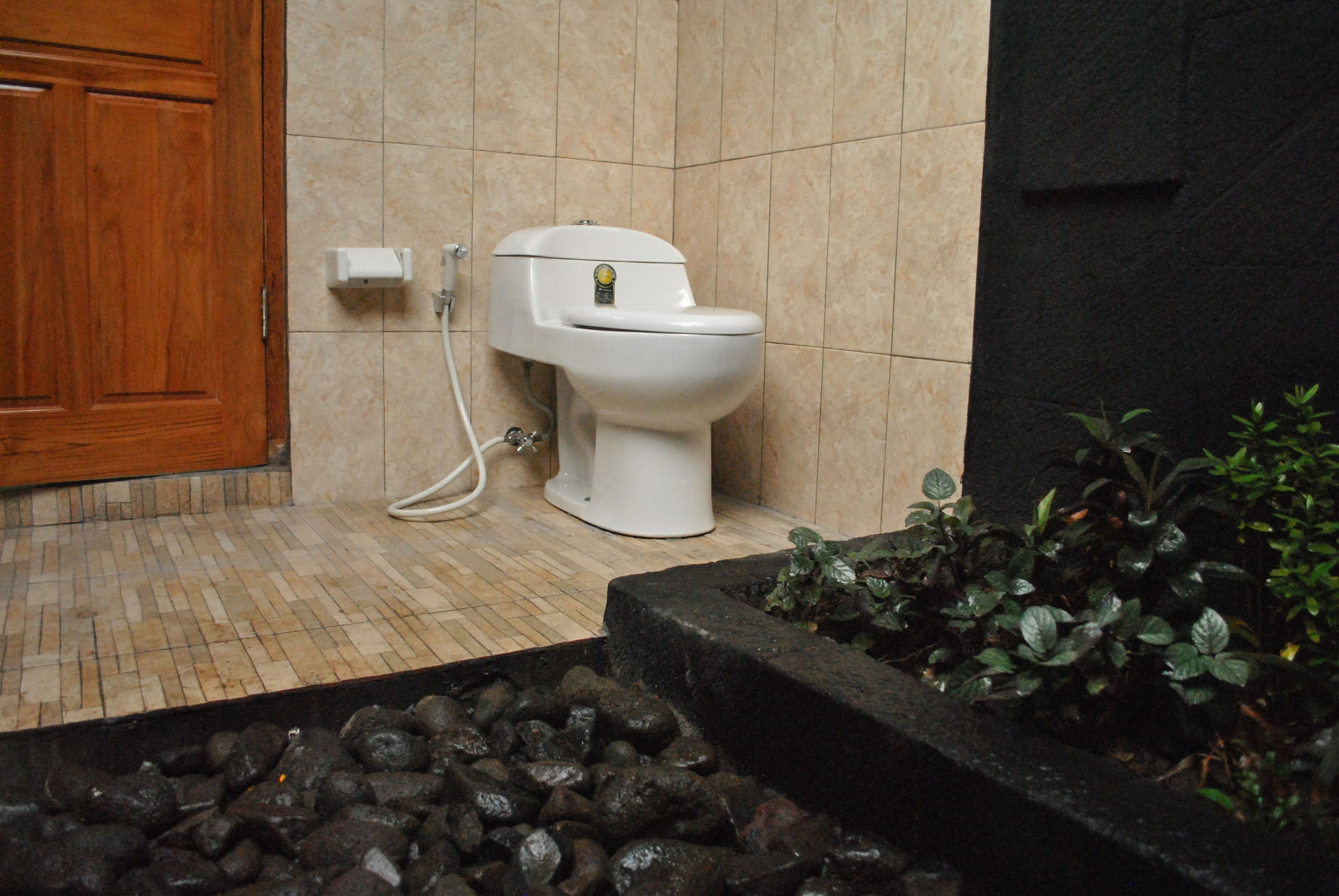 Une salle de bain avec des toilettes, une porte en bois, des murs carrelés et un petit pot de fleurs contenant des plantes vertes.