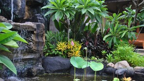 A garden with a waterfall, rocks, and various plants. - Trijaya Guest House (Pemuteran)