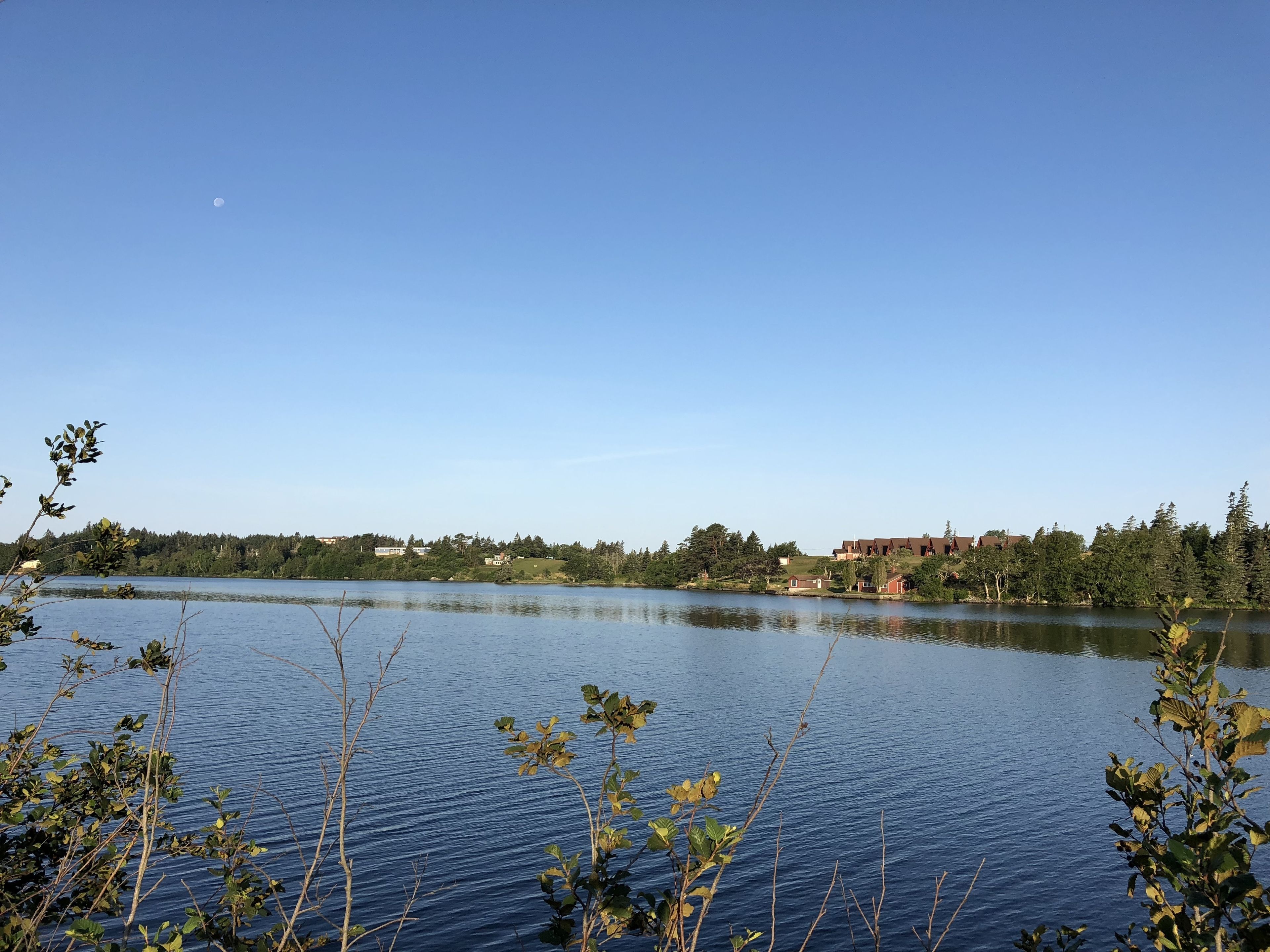 Un lago tranquilo con cielo despejado, rodeado de vegetación y edificios a lo lejos.