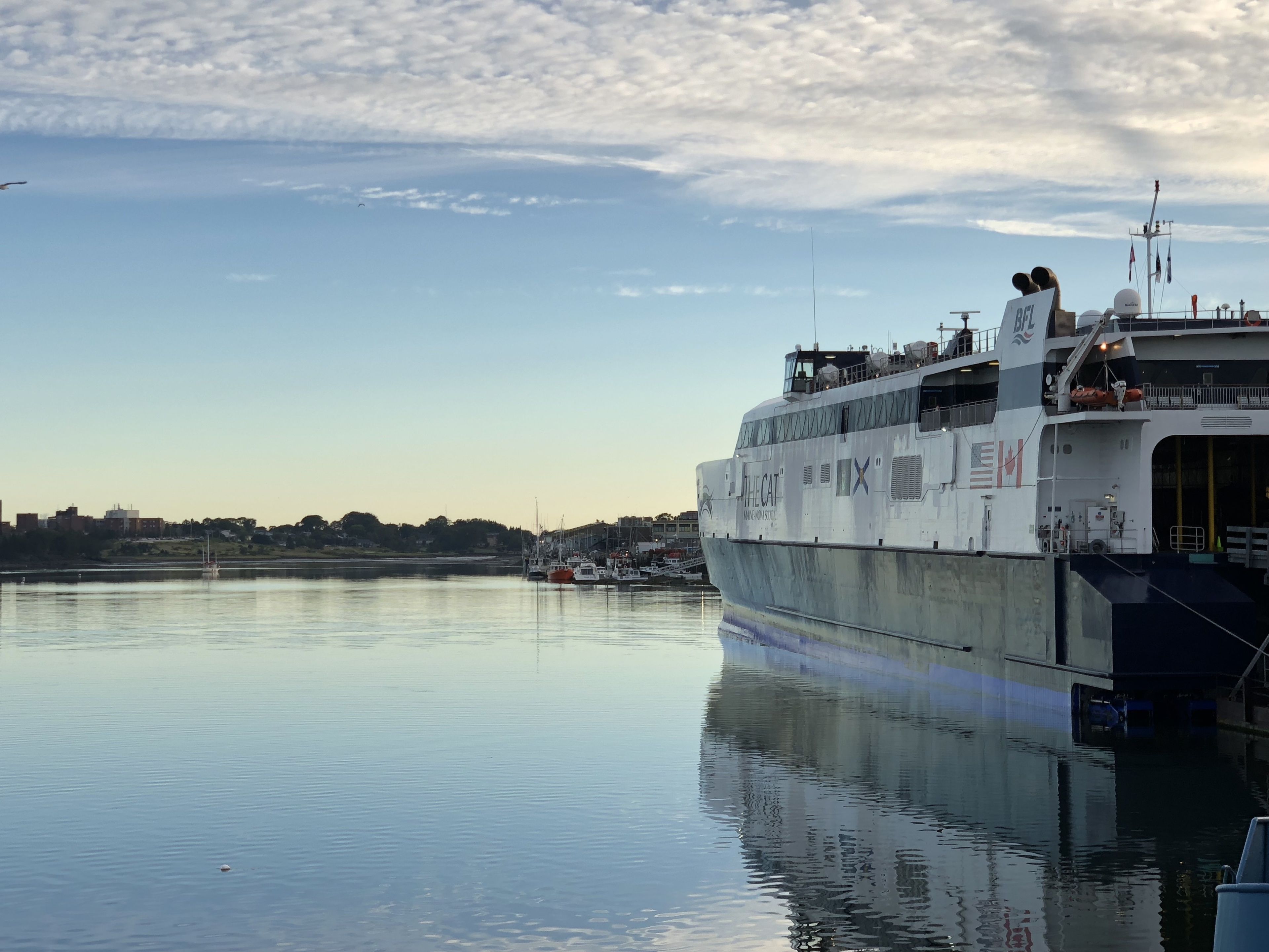 Um grande ferry atracado num porto calmo, com a silhueta urbana ao fundo.