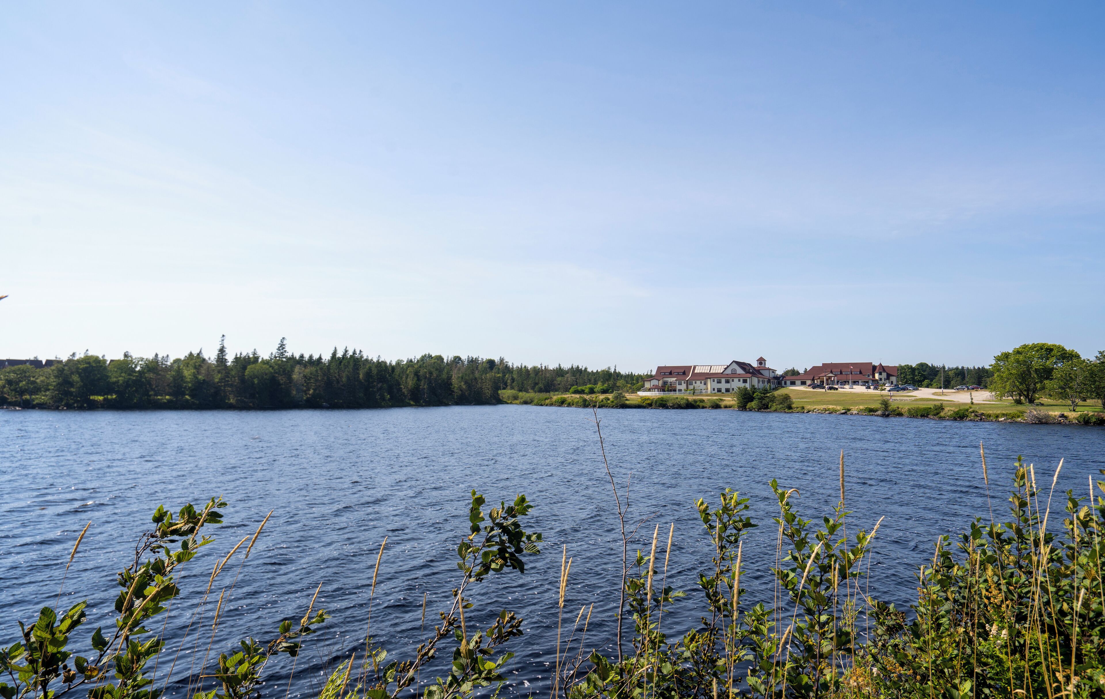 Un lac avec une maison et des arbres en arrière-plan.