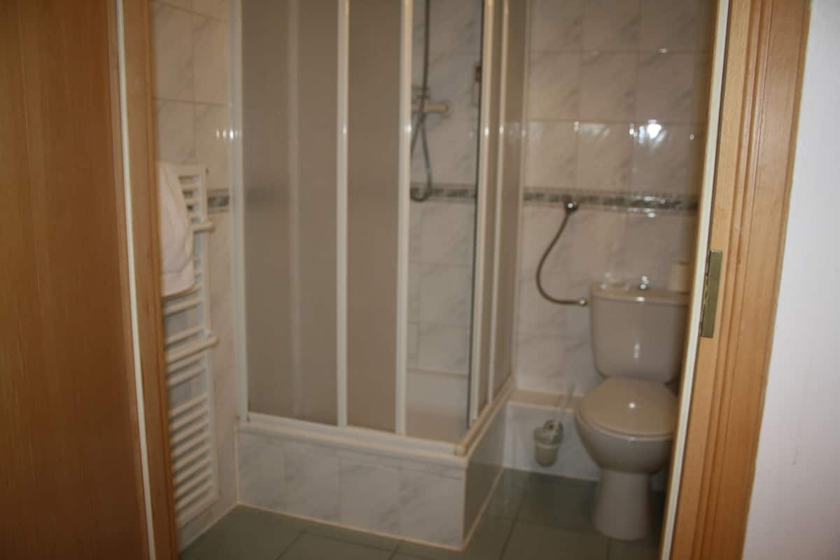 free toiletries, hair dryer, towels