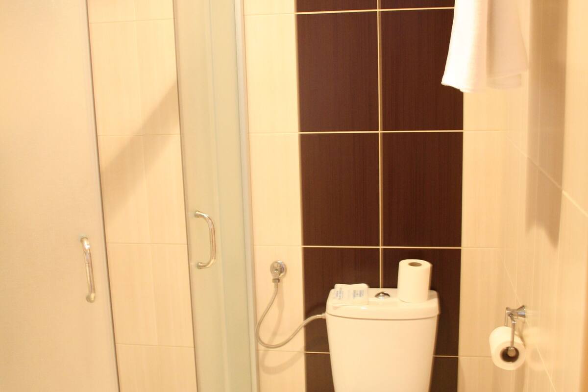 free toiletries, hair dryer, towels