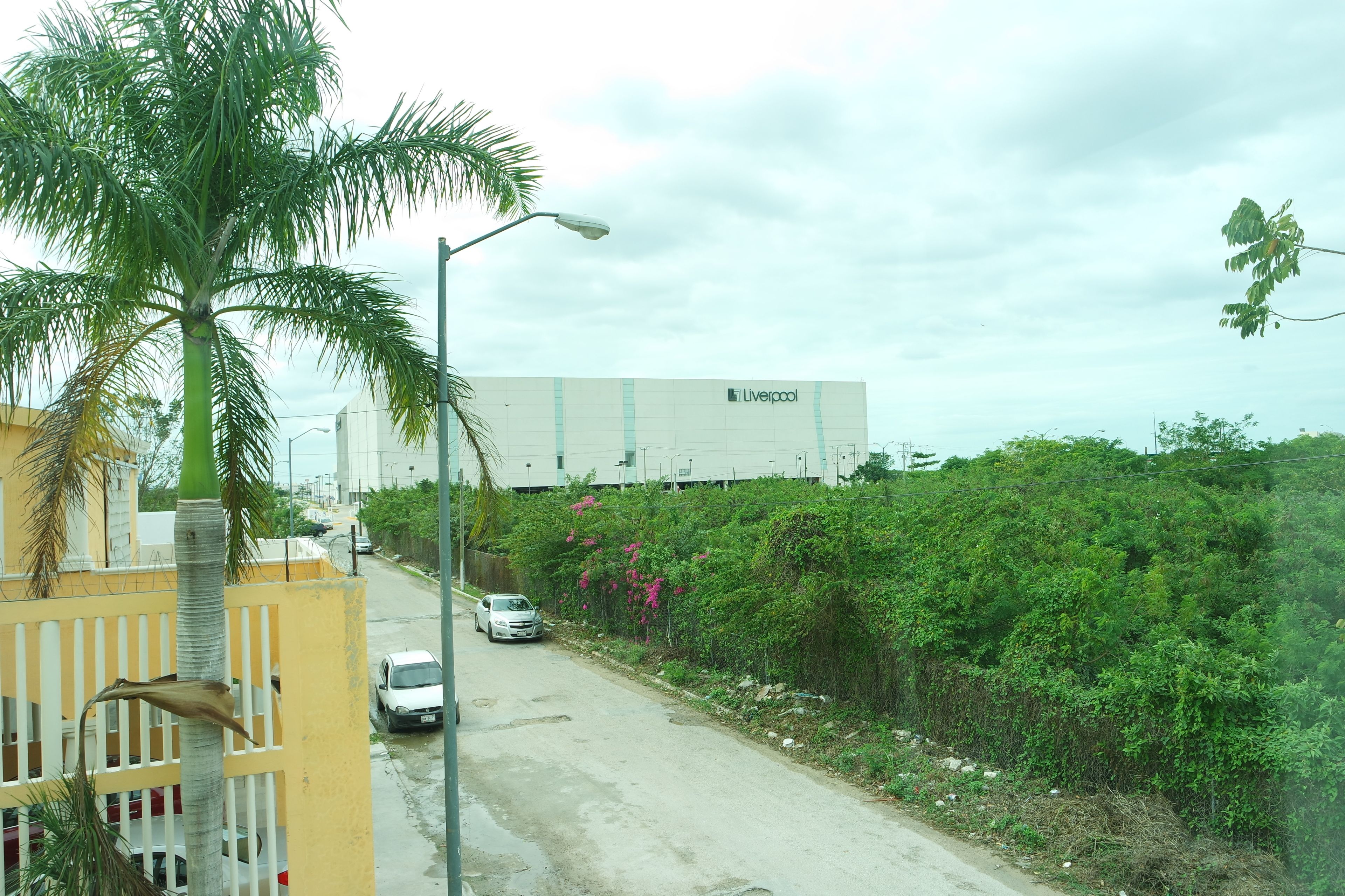 Foto - Hotel CEO Group