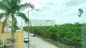 A street with a palm tree, a white building with 'Liverpool' signage, and a car parked on the side.
