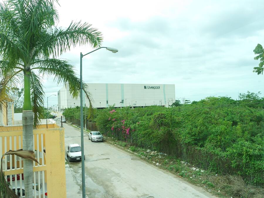 A street with a palm tree, a white building with 'Liverpool' signage, and a car parked on the side.