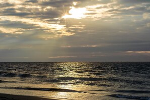 หาดส่วนตัว, ทรายสีดำ, บาร์ริมหาด