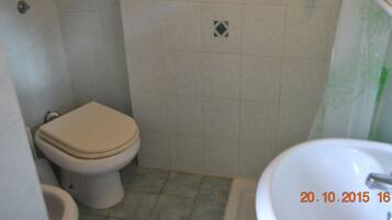A small bathroom with a toilet, a sink, and a shower area.