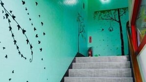 Una escalera con una pared verde y siluetas negras de aves y árboles.