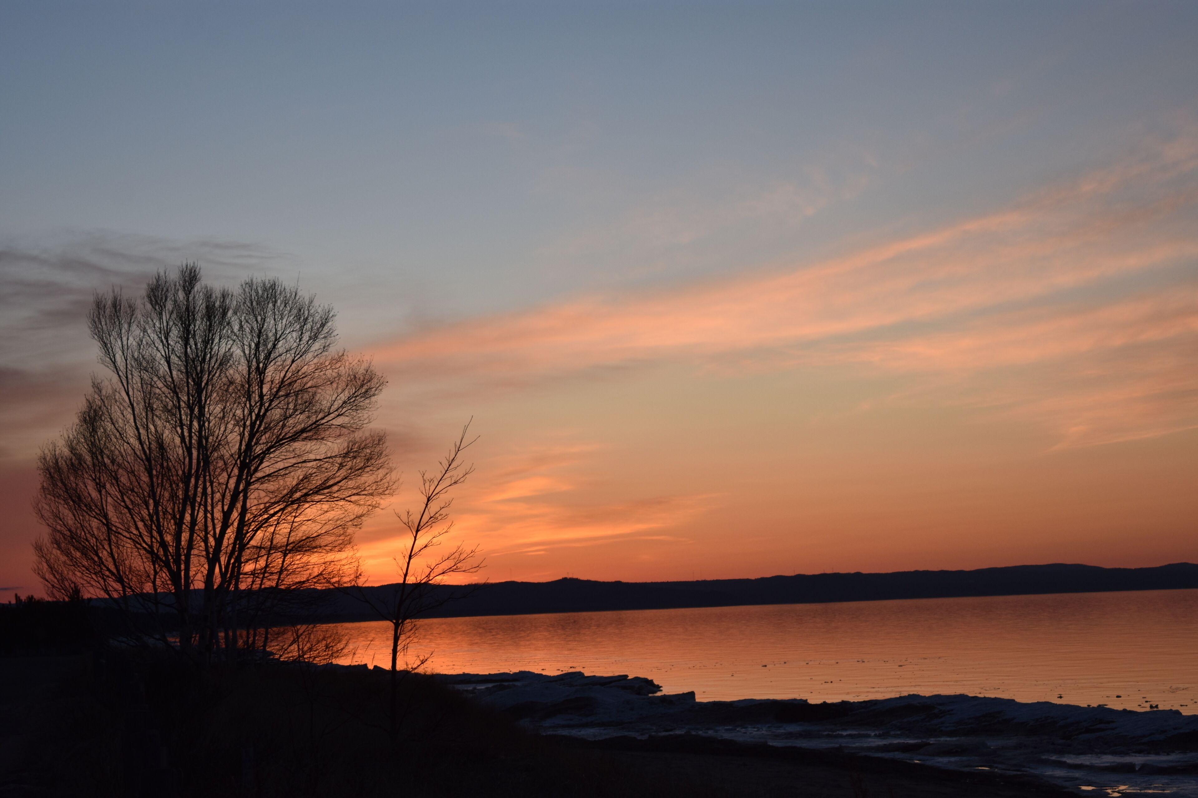 A sunset over a calm lake with bare trees silhouetted against the sky.
