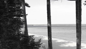 A forested area with tall trees and a view of the ocean. - White Pine Lodge (Munising)