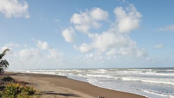 Ubicación a pie de playa, tumbonas, toallas de playa y kayak