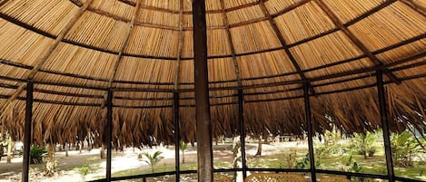 Piscine extérieure, chaises longues