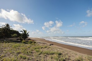 Plage, chaises longues, serviettes de plage, kayak