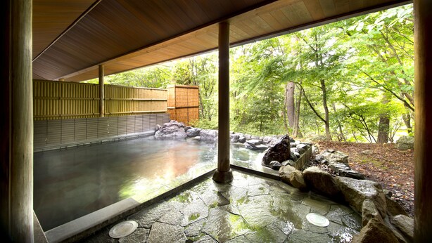 A traditional Japanese onsen with a stone bath, wooden pillars, and a view of a forested area. - Azumino Hotaka View Hotel (Azumino)