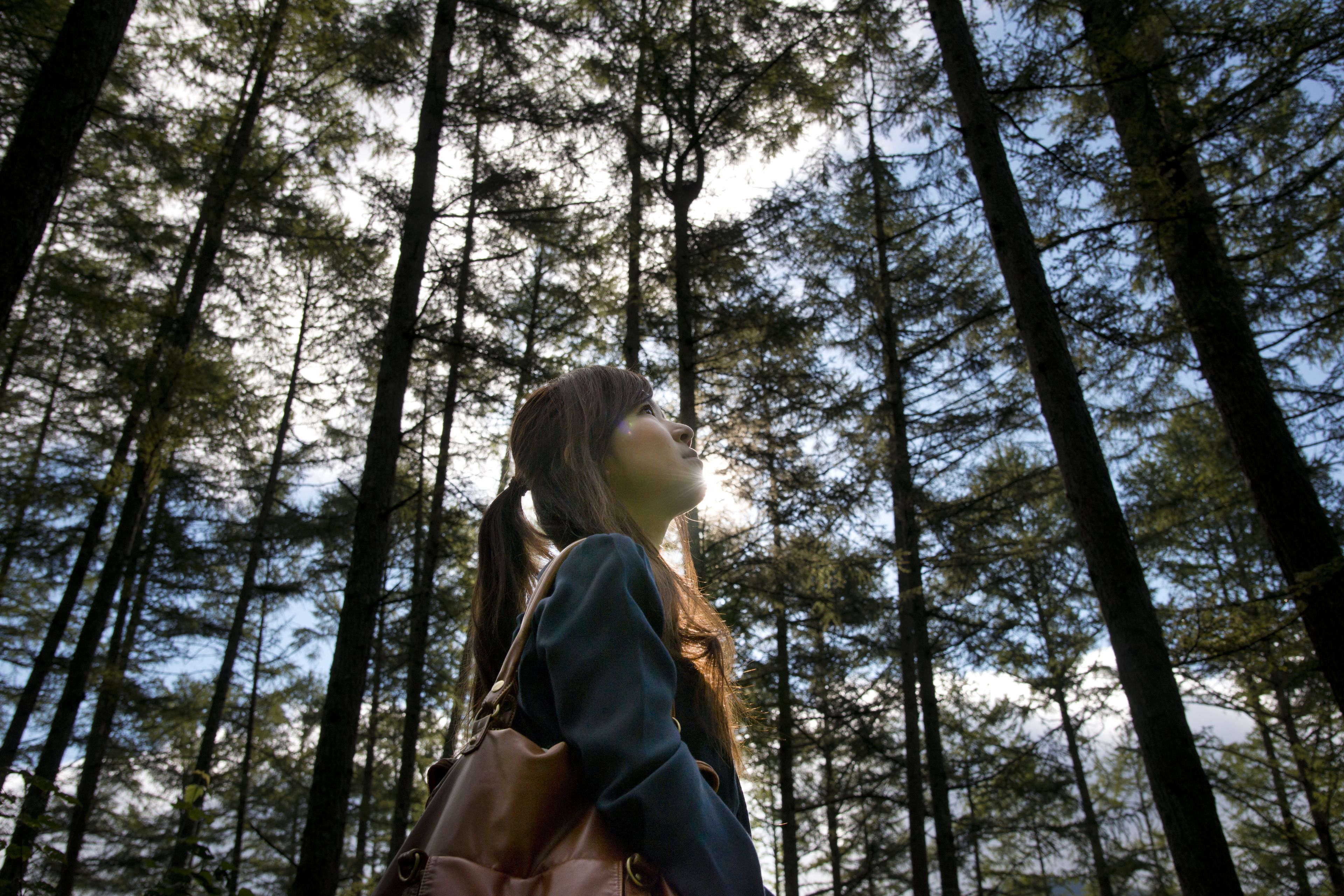 Uma pessoa parada em uma floresta com árvores altas.