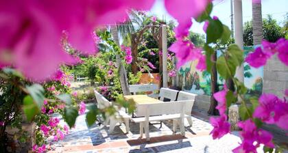 Hoang Nga Guest House