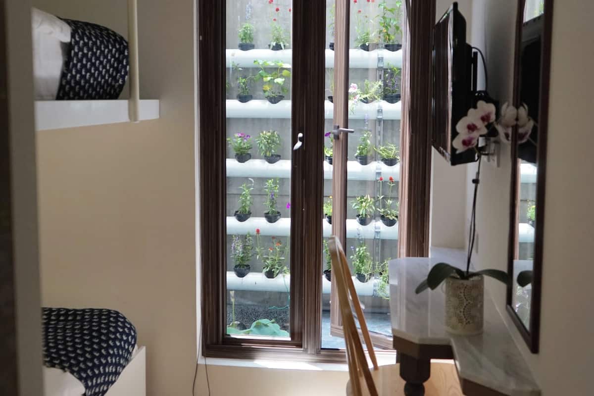 A room with a bed, a chair, a desk, a window with a view of a balcony with plants, and a mirror on the wall.