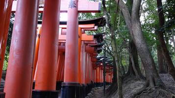 A row of traditional red torii gates in a forested area.