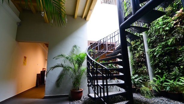 Un escalier en colimaçon avec une rampe en métal, entouré d’une végétation luxuriante et de plantes en pot.