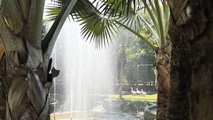 Una fuente con chorros de agua, rodeada de césped y palmeras, con patos al fondo.