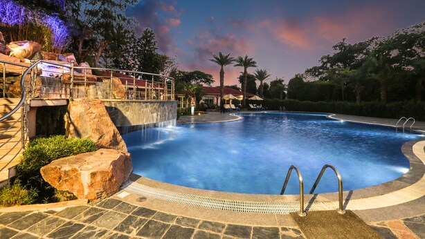 Una piscina con borde de piedra, sillas de descanso y palmeras.