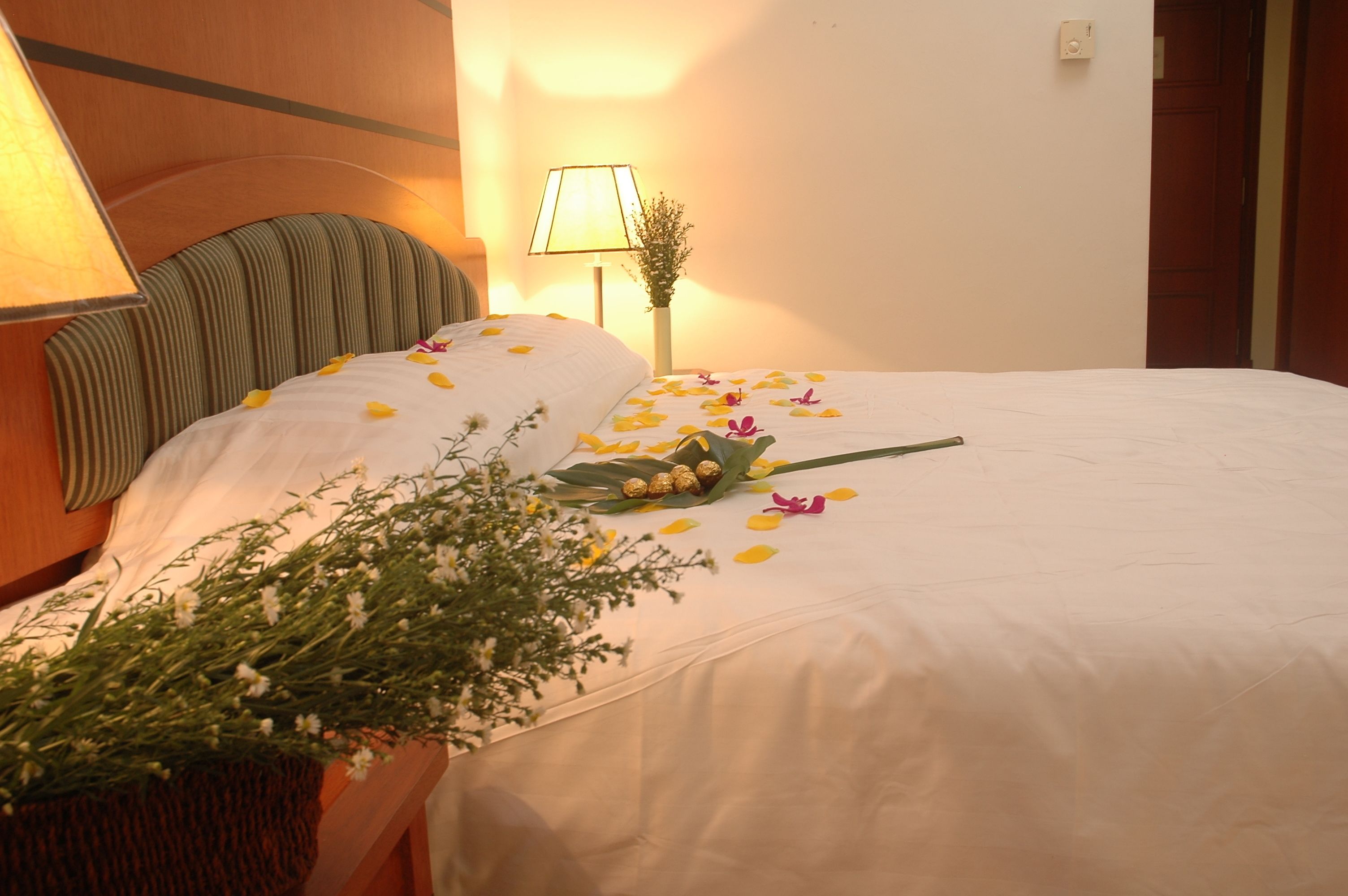A hotel room with a neatly made bed, a bedside lamp, and a small potted plant.