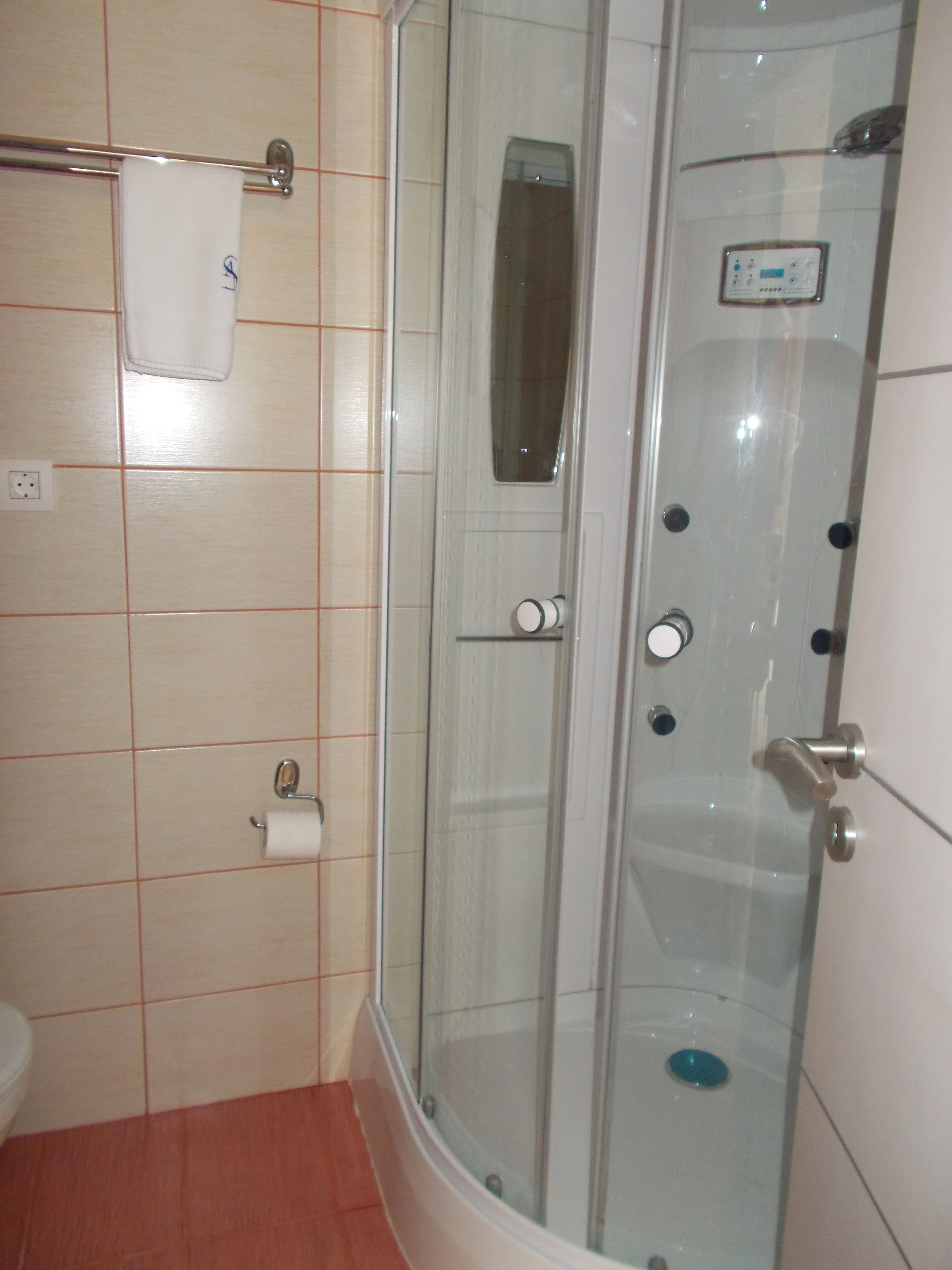 A bathroom with a glass-enclosed shower, a toilet, and a towel rack.
