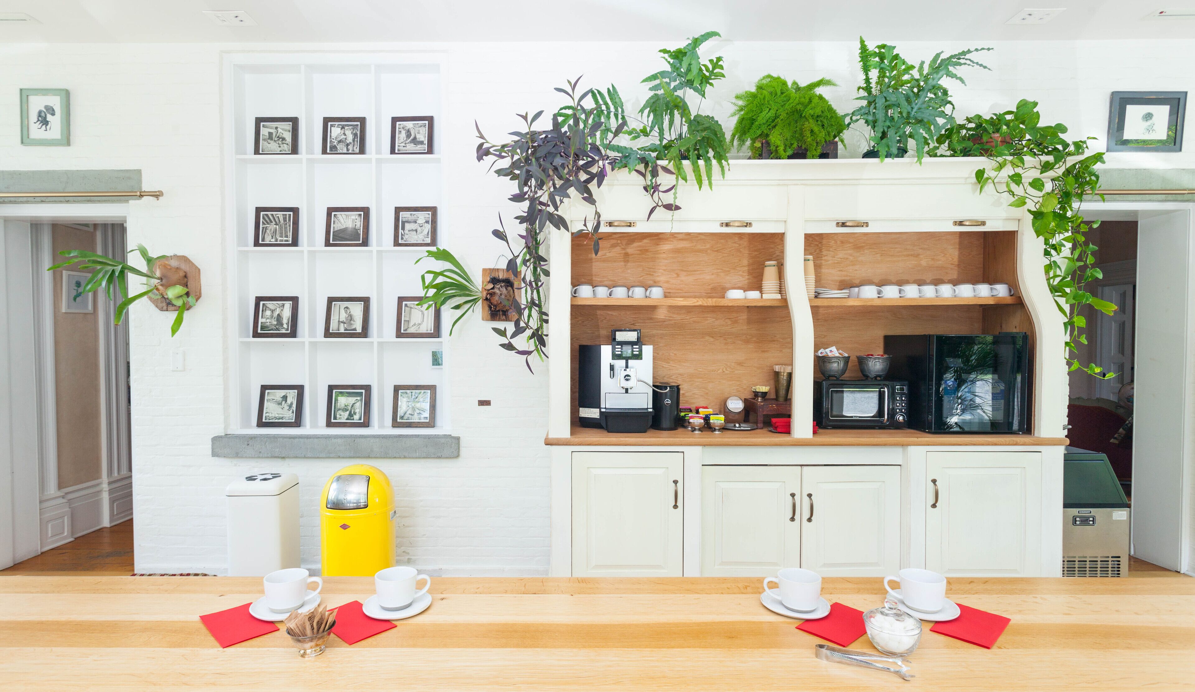 A kitchen with white cabinets, a coffee machine, and various plants.