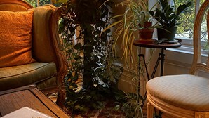 A cozy room with a sofa, a chair, a table with a book, and a large potted plant. - Argos Inn (Ithaca)