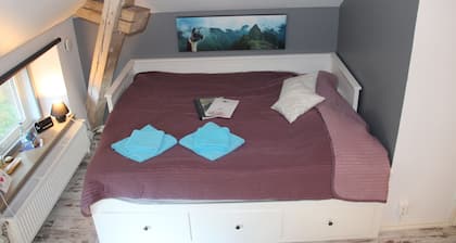 Norrängens Alpacka - Det lilla boutiquehotellet med en fluffy twist