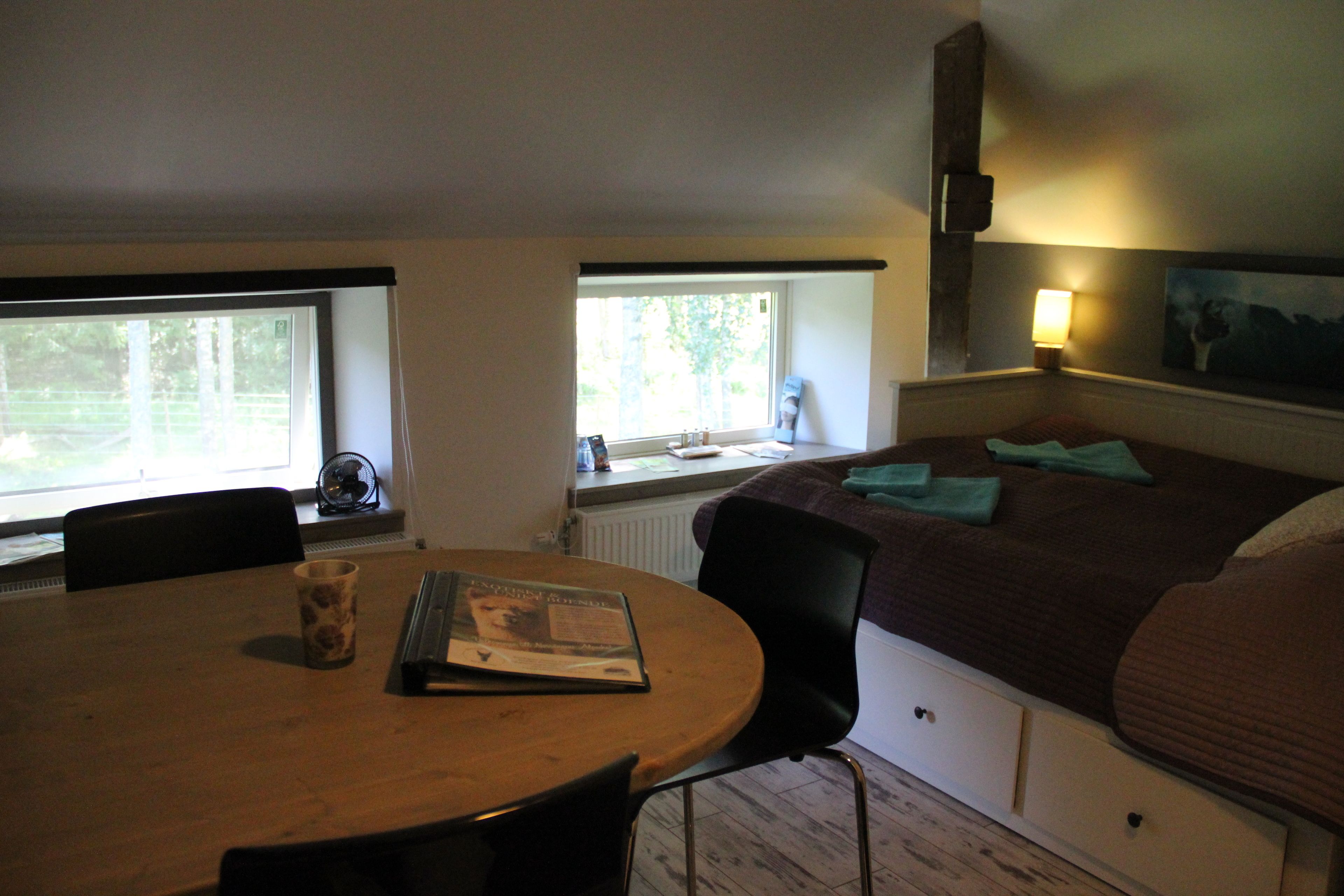 Skrivbord, strykjärn/strykbräda och gratis wi-fi