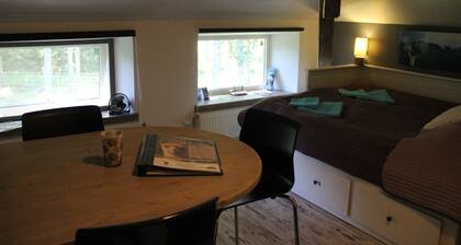 Norrängens Alpacka - Det lilla boutiquehotellet med en fluffy twist