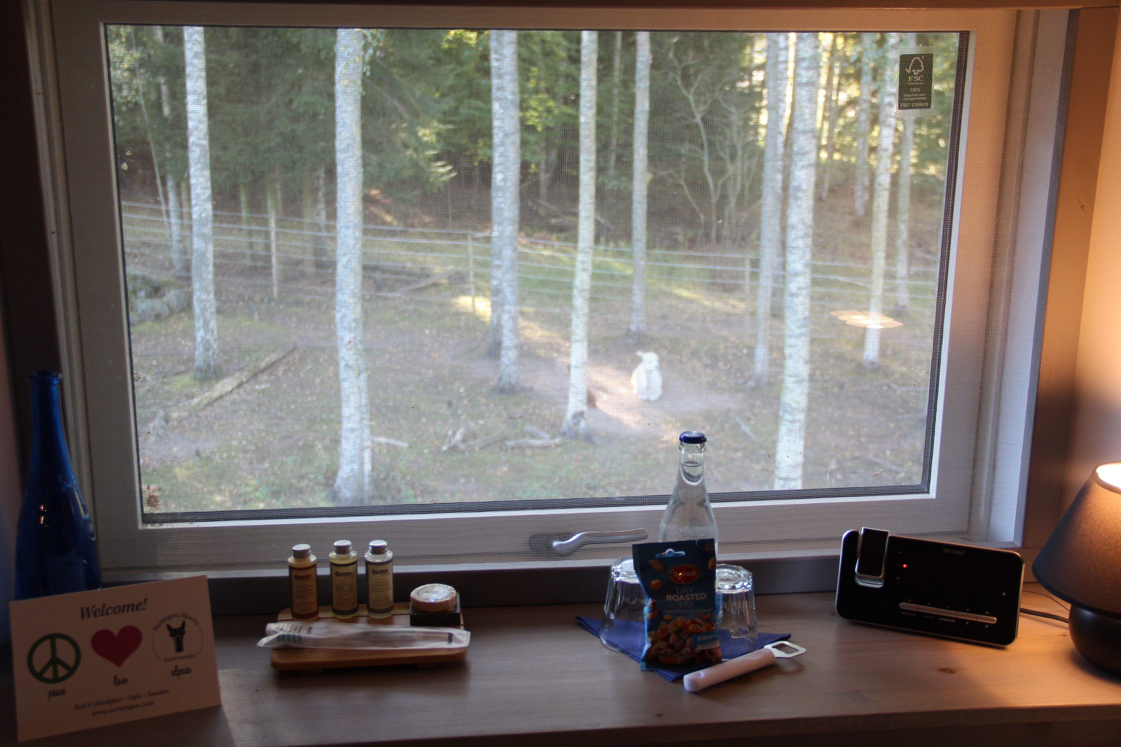 Superior-Doppelzimmer, eigenes Bad, Gartenblick