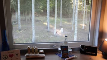 Superior-Doppelzimmer, eigenes Bad, Gartenblick