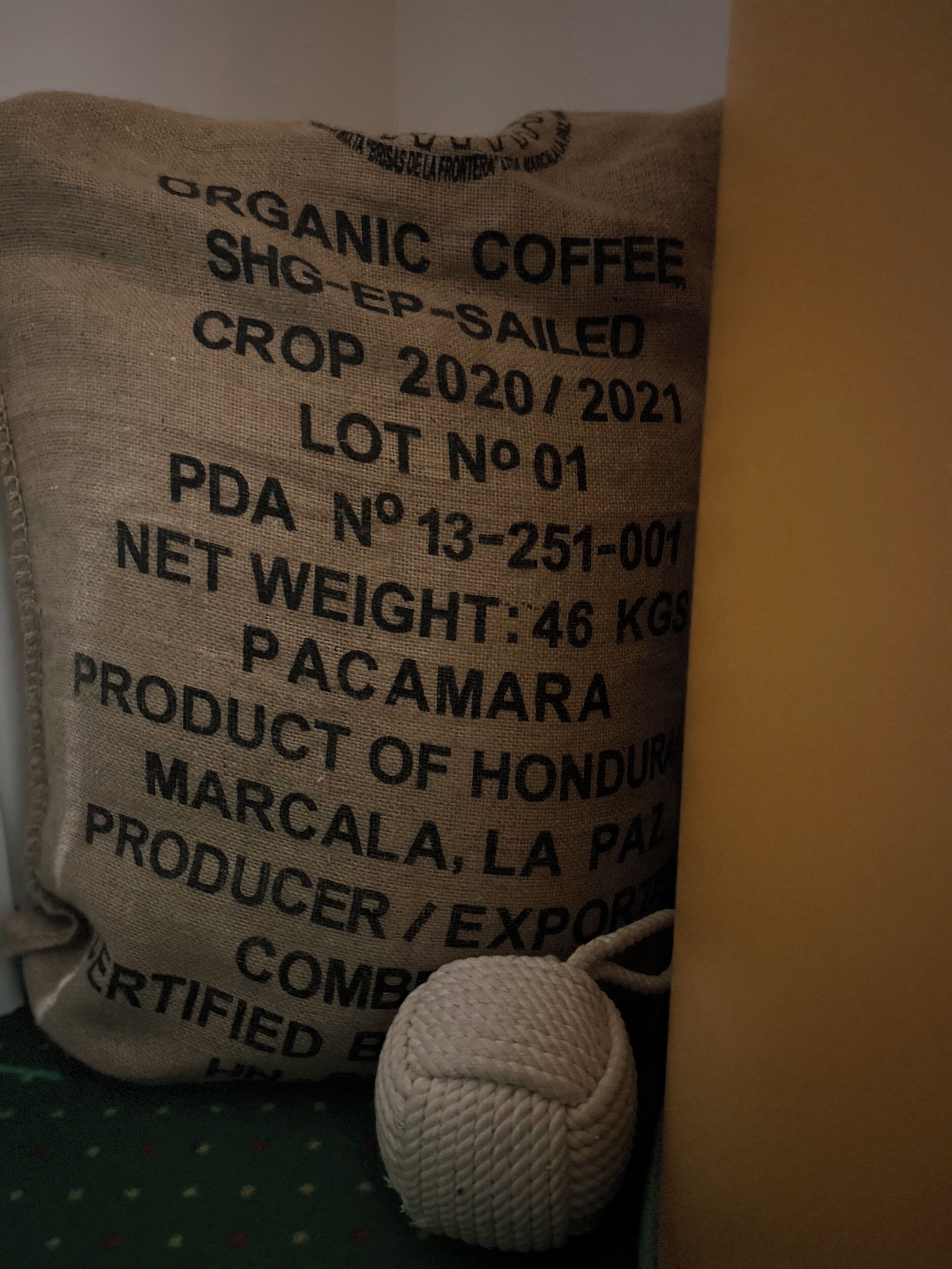 Photo - Pension Stadthalle